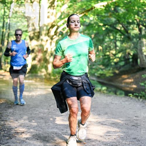 28.09.2025 - 33. Volkslauf durch das schöne Alstertal Dr. Thomas Lammeyer http://msf.ph/oto/8951103 28.09.2025 10:16:31 Laufen  meine-sportfotos.de