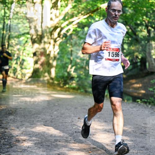 28.09.2025 - 33. Volkslauf durch das schöne Alstertal Dr. Thomas Lammeyer http://msf.ph/oto/8951130 28.09.2025 10:16:41 Laufen 1596 meine-sportfotos.de