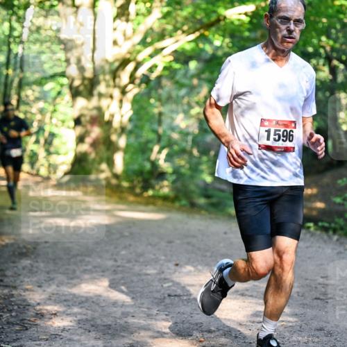 28.09.2025 - 33. Volkslauf durch das schöne Alstertal Dr. Thomas Lammeyer http://msf.ph/oto/8951131 28.09.2025 10:16:41 Laufen 1596 meine-sportfotos.de