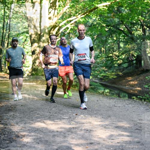 28.09.2025 - 33. Volkslauf durch das schöne Alstertal Dr. Thomas Lammeyer http://msf.ph/oto/8951182 28.09.2025 10:17:00 Laufen 1577, 1586 meine-sportfotos.de