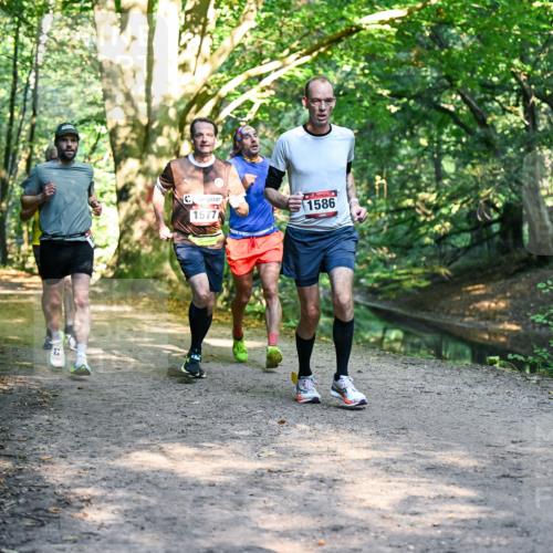 28.09.2025 - 33. Volkslauf durch das schöne Alstertal Dr. Thomas Lammeyer http://msf.ph/oto/8951183 28.09.2025 10:17:00 Laufen 1577, 1586 meine-sportfotos.de