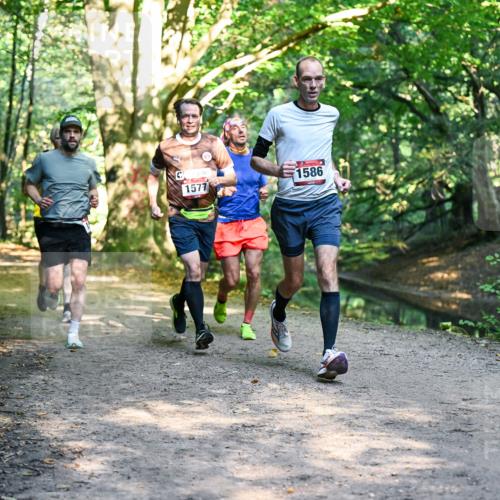 28.09.2025 - 33. Volkslauf durch das schöne Alstertal Dr. Thomas Lammeyer http://msf.ph/oto/8951184 28.09.2025 10:17:00 Laufen 1577, 1586 meine-sportfotos.de
