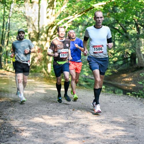 28.09.2025 - 33. Volkslauf durch das schöne Alstertal Dr. Thomas Lammeyer http://msf.ph/oto/8951186 28.09.2025 10:17:01 Laufen 1577, 1586 meine-sportfotos.de