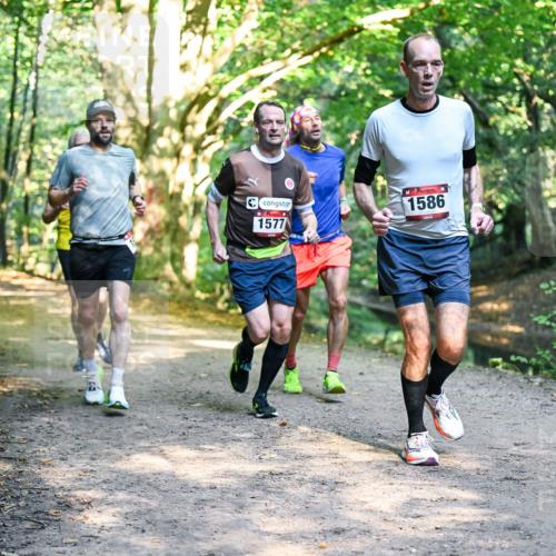 28.09.2025 - 33. Volkslauf durch das schöne Alstertal Dr. Thomas Lammeyer http://msf.ph/oto/8951188 28.09.2025 10:17:01 Laufen 1577, 1586 meine-sportfotos.de