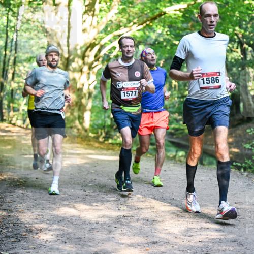 28.09.2025 - 33. Volkslauf durch das schöne Alstertal Dr. Thomas Lammeyer http://msf.ph/oto/8951189 28.09.2025 10:17:01 Laufen 1577, 1586 meine-sportfotos.de