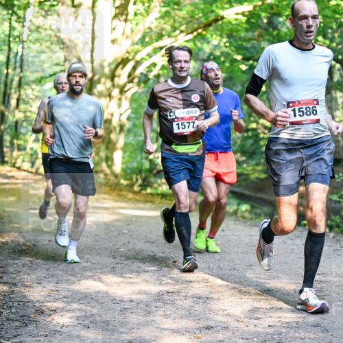 28.09.2025 - 33. Volkslauf durch das schöne Alstertal Dr. Thomas Lammeyer http://msf.ph/oto/8951190 28.09.2025 10:17:01 Laufen 1577, 1586 meine-sportfotos.de