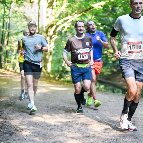 28.09.2025 - 33. Volkslauf durch das schöne Alstertal Dr. Thomas Lammeyer http://msf.ph/oto/8951191 28.09.2025 10:17:01 Laufen 1577, 1586 meine-sportfotos.de