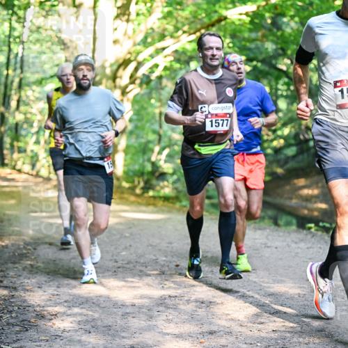 28.09.2025 - 33. Volkslauf durch das schöne Alstertal Dr. Thomas Lammeyer http://msf.ph/oto/8951192 28.09.2025 10:17:01 Laufen 15, 1577, 1586 meine-sportfotos.de