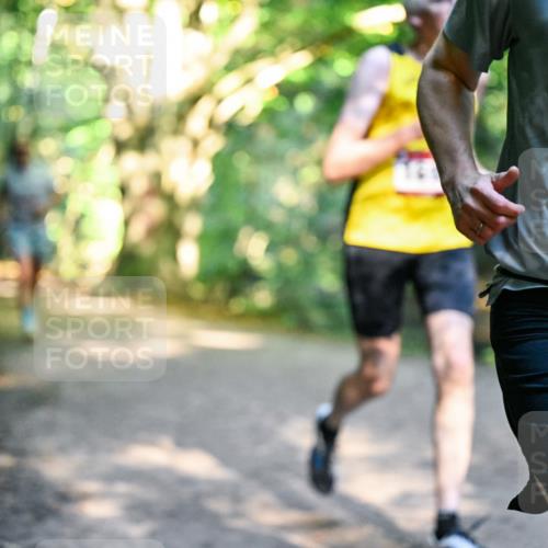 28.09.2025 - 33. Volkslauf durch das schöne Alstertal Dr. Thomas Lammeyer http://msf.ph/oto/8951203 28.09.2025 10:17:03 Laufen  meine-sportfotos.de