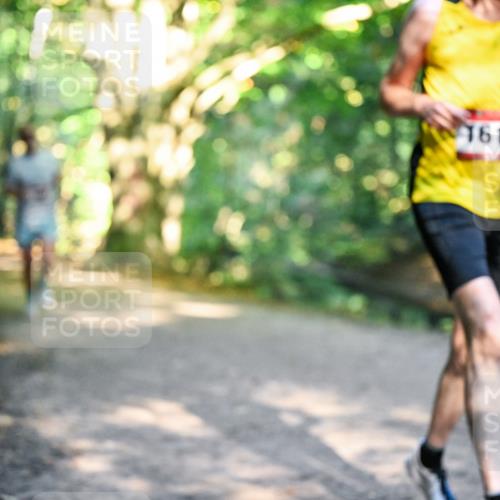 28.09.2025 - 33. Volkslauf durch das schöne Alstertal Dr. Thomas Lammeyer http://msf.ph/oto/8951205 28.09.2025 10:17:03 Laufen 1612 meine-sportfotos.de