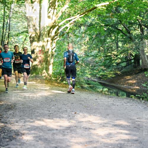 28.09.2025 - 33. Volkslauf durch das schöne Alstertal Dr. Thomas Lammeyer http://msf.ph/oto/8951224 28.09.2025 10:17:08 Laufen 1593, 1570, 1542, 1006 meine-sportfotos.de