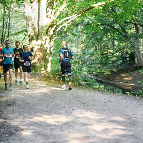 28.09.2025 - 33. Volkslauf durch das schöne Alstertal Dr. Thomas Lammeyer http://msf.ph/oto/8951225 28.09.2025 10:17:08 Laufen 1570, 0, 1593, 154, 1006 meine-sportfotos.de