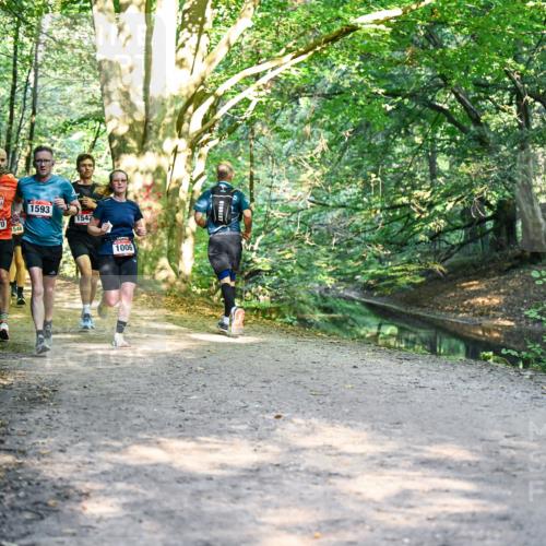 28.09.2025 - 33. Volkslauf durch das schöne Alstertal Dr. Thomas Lammeyer http://msf.ph/oto/8951227 28.09.2025 10:17:08 Laufen 1593, 1570, 1542, 1548, 1006 meine-sportfotos.de