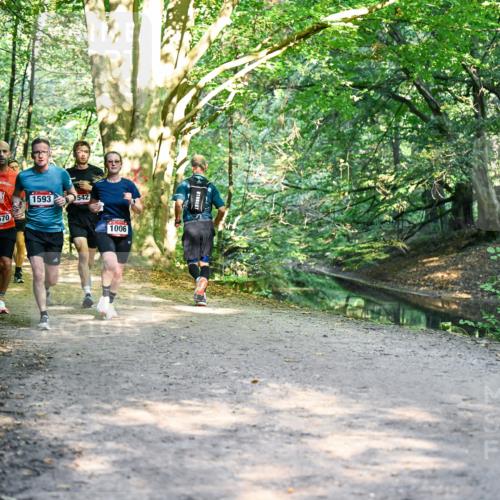28.09.2025 - 33. Volkslauf durch das schöne Alstertal Dr. Thomas Lammeyer http://msf.ph/oto/8951228 28.09.2025 10:17:08 Laufen 1593, 542, 1570, 1006 meine-sportfotos.de