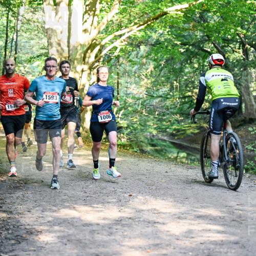 28.09.2025 - 33. Volkslauf durch das schöne Alstertal Dr. Thomas Lammeyer http://msf.ph/oto/8951235 28.09.2025 10:17:09 Laufen 1570, 48, 1593, 1006 meine-sportfotos.de