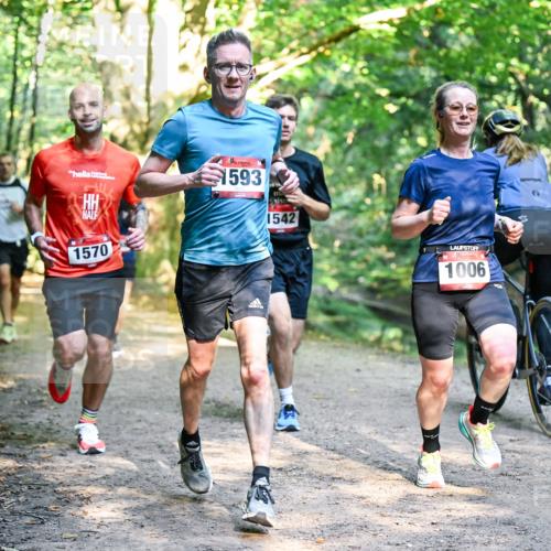 28.09.2025 - 33. Volkslauf durch das schöne Alstertal Dr. Thomas Lammeyer http://msf.ph/oto/8951244 28.09.2025 10:17:10 Laufen 1570, 1593, 1542, 1006 meine-sportfotos.de