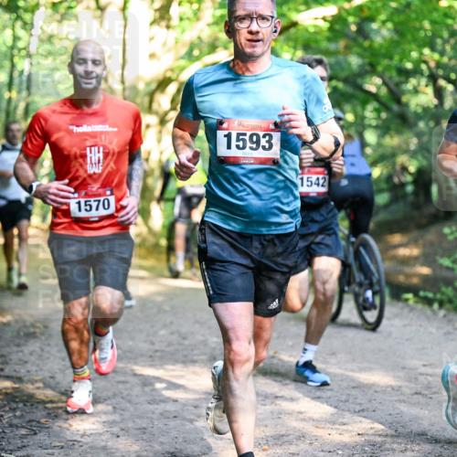 28.09.2025 - 33. Volkslauf durch das schöne Alstertal Dr. Thomas Lammeyer http://msf.ph/oto/8951247 28.09.2025 10:17:11 Laufen 1570, 1593, 1542, 1006 meine-sportfotos.de