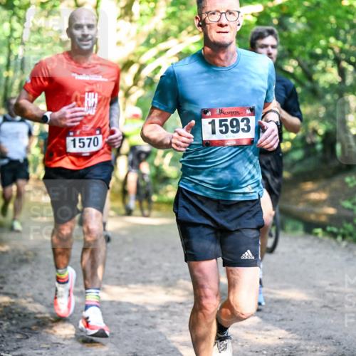 28.09.2025 - 33. Volkslauf durch das schöne Alstertal Dr. Thomas Lammeyer http://msf.ph/oto/8951248 28.09.2025 10:17:11 Laufen 1570, 1593, 10 meine-sportfotos.de