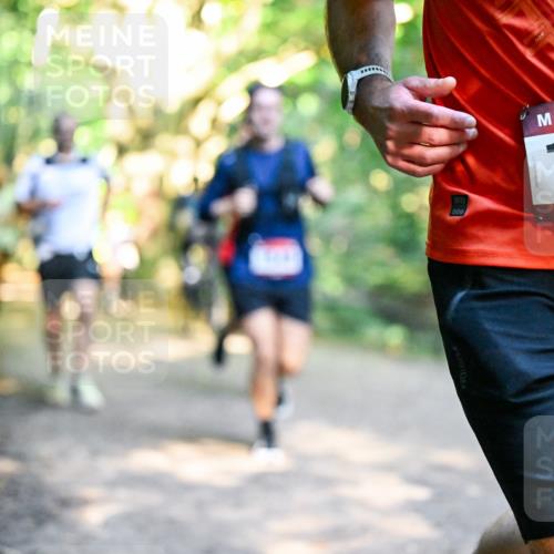 28.09.2025 - 33. Volkslauf durch das schöne Alstertal Dr. Thomas Lammeyer http://msf.ph/oto/8951251 28.09.2025 10:17:12 Laufen 31713, 000, 1899, 1570 meine-sportfotos.de
