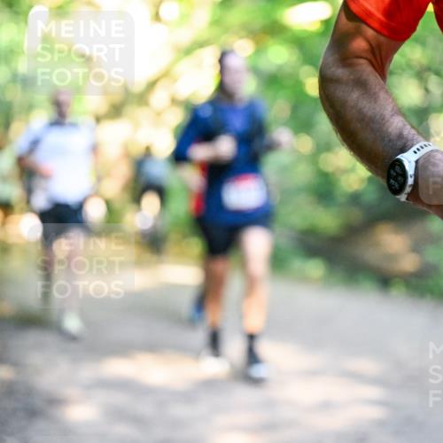 28.09.2025 - 33. Volkslauf durch das schöne Alstertal Dr. Thomas Lammeyer http://msf.ph/oto/8951252 28.09.2025 10:17:12 Laufen  meine-sportfotos.de