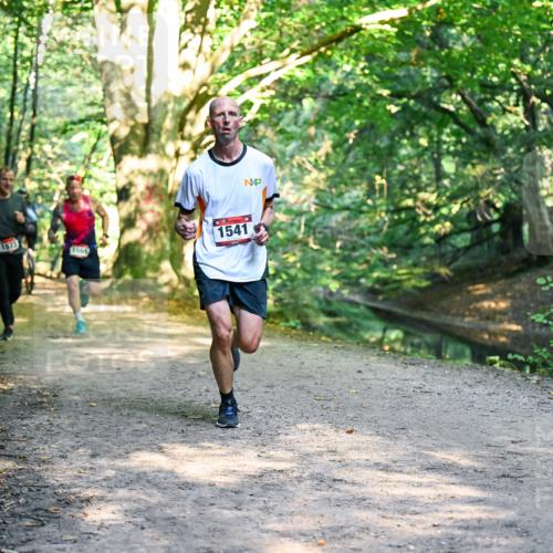 28.09.2025 - 33. Volkslauf durch das schöne Alstertal Dr. Thomas Lammeyer http://msf.ph/oto/8951263 28.09.2025 10:17:15 Laufen 1673, 1566, 1541 meine-sportfotos.de
