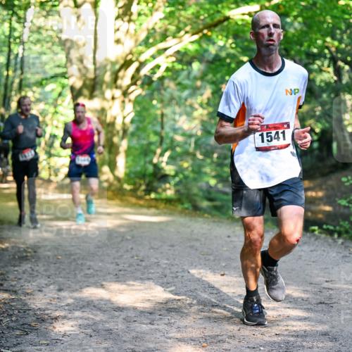 28.09.2025 - 33. Volkslauf durch das schöne Alstertal Dr. Thomas Lammeyer http://msf.ph/oto/8951269 28.09.2025 10:17:16 Laufen 1541 meine-sportfotos.de