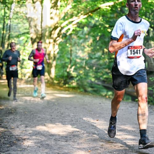 28.09.2025 - 33. Volkslauf durch das schöne Alstertal Dr. Thomas Lammeyer http://msf.ph/oto/8951270 28.09.2025 10:17:16 Laufen 1541 meine-sportfotos.de