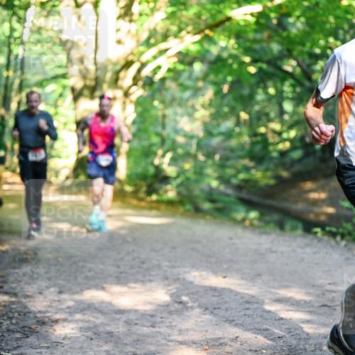 28.09.2025 - 33. Volkslauf durch das schöne Alstertal Dr. Thomas Lammeyer http://msf.ph/oto/8951272 28.09.2025 10:17:17 Laufen 1541 meine-sportfotos.de