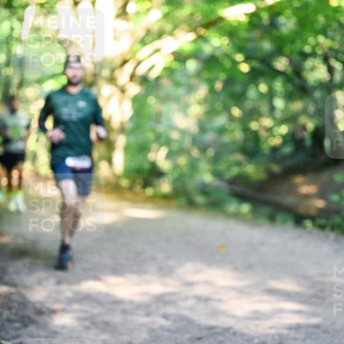 28.09.2025 - 33. Volkslauf durch das schöne Alstertal Dr. Thomas Lammeyer http://msf.ph/oto/8951292 28.09.2025 10:17:20 Laufen  meine-sportfotos.de