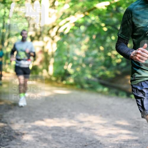 28.09.2025 - 33. Volkslauf durch das schöne Alstertal Dr. Thomas Lammeyer http://msf.ph/oto/8951303 28.09.2025 10:17:21 Laufen 1594 meine-sportfotos.de