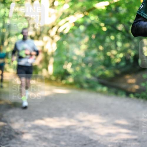 28.09.2025 - 33. Volkslauf durch das schöne Alstertal Dr. Thomas Lammeyer http://msf.ph/oto/8951304 28.09.2025 10:17:22 Laufen  meine-sportfotos.de