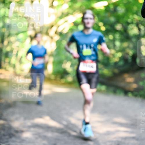 28.09.2025 - 33. Volkslauf durch das schöne Alstertal Dr. Thomas Lammeyer http://msf.ph/oto/8951312 28.09.2025 10:17:24 Laufen 000 meine-sportfotos.de