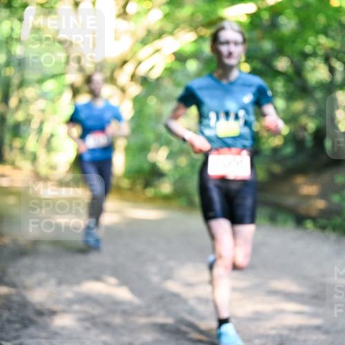 28.09.2025 - 33. Volkslauf durch das schöne Alstertal Dr. Thomas Lammeyer http://msf.ph/oto/8951313 28.09.2025 10:17:24 Laufen  meine-sportfotos.de