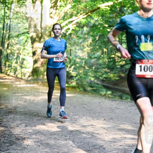 28.09.2025 - 33. Volkslauf durch das schöne Alstertal Dr. Thomas Lammeyer http://msf.ph/oto/8951314 28.09.2025 10:17:24 Laufen 7, 2025, 1008 meine-sportfotos.de