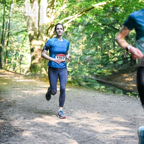 28.09.2025 - 33. Volkslauf durch das schöne Alstertal Dr. Thomas Lammeyer http://msf.ph/oto/8951315 28.09.2025 10:17:25 Laufen 1917, 1008 meine-sportfotos.de