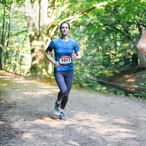 28.09.2025 - 33. Volkslauf durch das schöne Alstertal Dr. Thomas Lammeyer http://msf.ph/oto/8951316 28.09.2025 10:17:25 Laufen 1017, 2, 10 meine-sportfotos.de
