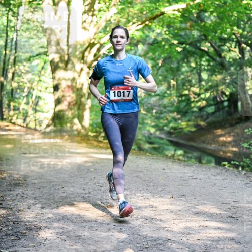28.09.2025 - 33. Volkslauf durch das schöne Alstertal Dr. Thomas Lammeyer http://msf.ph/oto/8951317 28.09.2025 10:17:25 Laufen 1017 meine-sportfotos.de