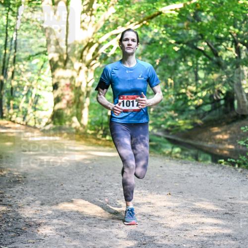 28.09.2025 - 33. Volkslauf durch das schöne Alstertal Dr. Thomas Lammeyer http://msf.ph/oto/8951318 28.09.2025 10:17:25 Laufen 1017 meine-sportfotos.de