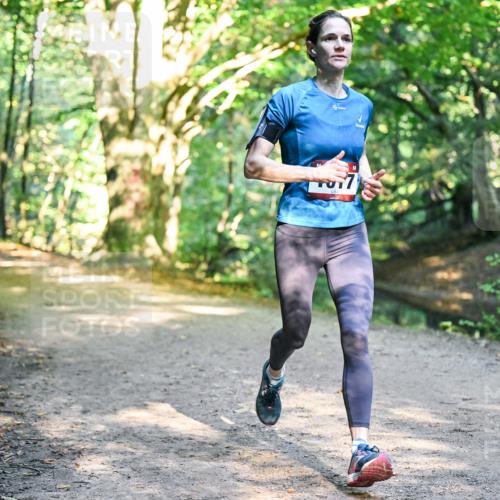28.09.2025 - 33. Volkslauf durch das schöne Alstertal Dr. Thomas Lammeyer http://msf.ph/oto/8951320 28.09.2025 10:17:25 Laufen  meine-sportfotos.de