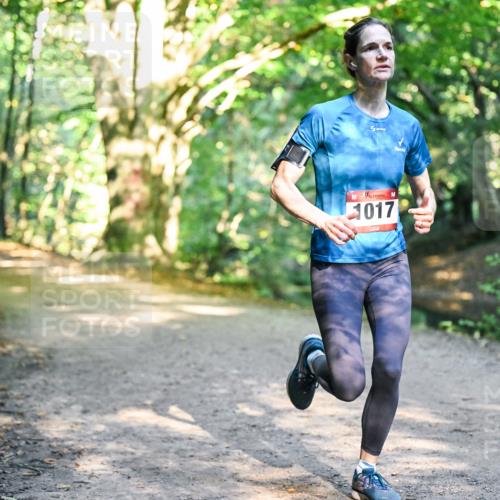 28.09.2025 - 33. Volkslauf durch das schöne Alstertal Dr. Thomas Lammeyer http://msf.ph/oto/8951321 28.09.2025 10:17:25 Laufen 1017 meine-sportfotos.de