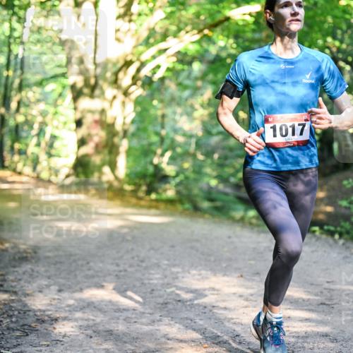 28.09.2025 - 33. Volkslauf durch das schöne Alstertal Dr. Thomas Lammeyer http://msf.ph/oto/8951322 28.09.2025 10:17:26 Laufen 1017 meine-sportfotos.de