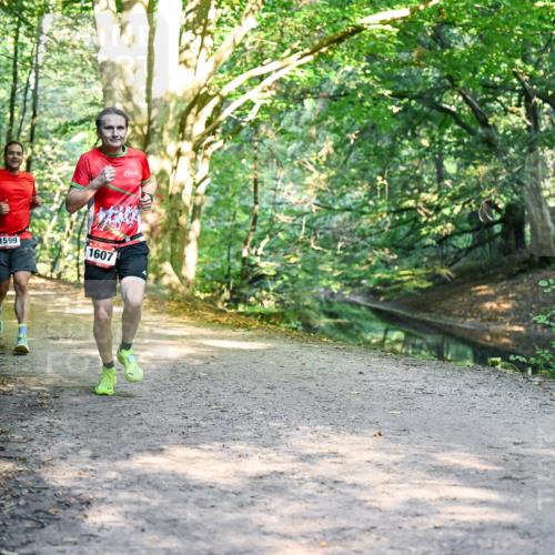 28.09.2025 - 33. Volkslauf durch das schöne Alstertal Dr. Thomas Lammeyer http://msf.ph/oto/8951324 28.09.2025 10:17:29 Laufen 1599, 1607 meine-sportfotos.de