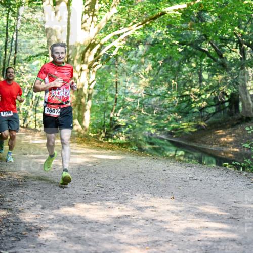 28.09.2025 - 33. Volkslauf durch das schöne Alstertal Dr. Thomas Lammeyer http://msf.ph/oto/8951325 28.09.2025 10:17:29 Laufen 1607, 1599 meine-sportfotos.de