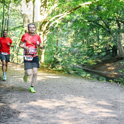 28.09.2025 - 33. Volkslauf durch das schöne Alstertal Dr. Thomas Lammeyer http://msf.ph/oto/8951326 28.09.2025 10:17:29 Laufen 1599, 1607 meine-sportfotos.de