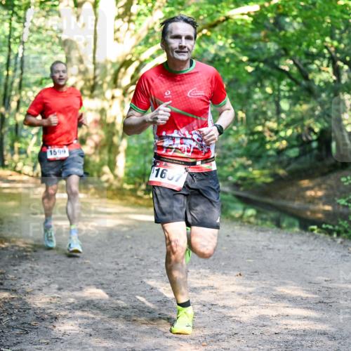 28.09.2025 - 33. Volkslauf durch das schöne Alstertal Dr. Thomas Lammeyer http://msf.ph/oto/8951334 28.09.2025 10:17:31 Laufen 1599, 1607 meine-sportfotos.de