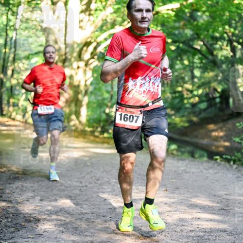 28.09.2025 - 33. Volkslauf durch das schöne Alstertal Dr. Thomas Lammeyer http://msf.ph/oto/8951335 28.09.2025 10:17:31 Laufen 1599, 1607 meine-sportfotos.de