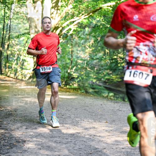 28.09.2025 - 33. Volkslauf durch das schöne Alstertal Dr. Thomas Lammeyer http://msf.ph/oto/8951338 28.09.2025 10:17:31 Laufen 1599, 1607 meine-sportfotos.de