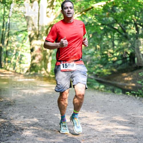28.09.2025 - 33. Volkslauf durch das schöne Alstertal Dr. Thomas Lammeyer http://msf.ph/oto/8951343 28.09.2025 10:17:32 Laufen 1599 meine-sportfotos.de