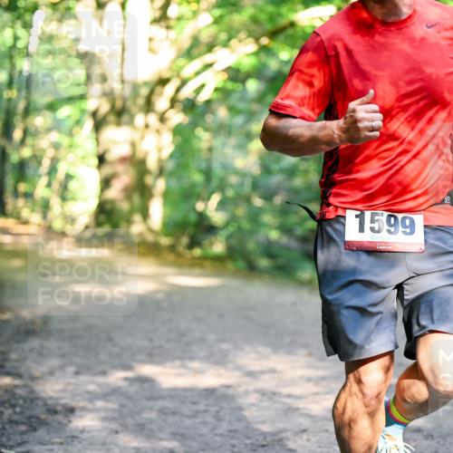28.09.2025 - 33. Volkslauf durch das schöne Alstertal Dr. Thomas Lammeyer http://msf.ph/oto/8951348 28.09.2025 10:17:33 Laufen 1599 meine-sportfotos.de