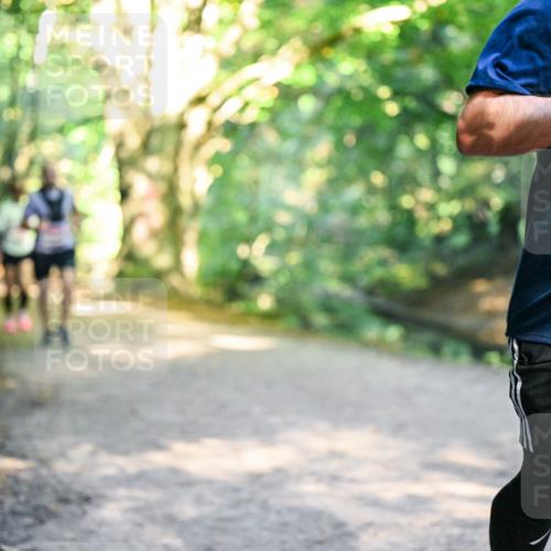 28.09.2025 - 33. Volkslauf durch das schöne Alstertal Dr. Thomas Lammeyer http://msf.ph/oto/8951388 28.09.2025 10:17:49 Laufen 16 meine-sportfotos.de